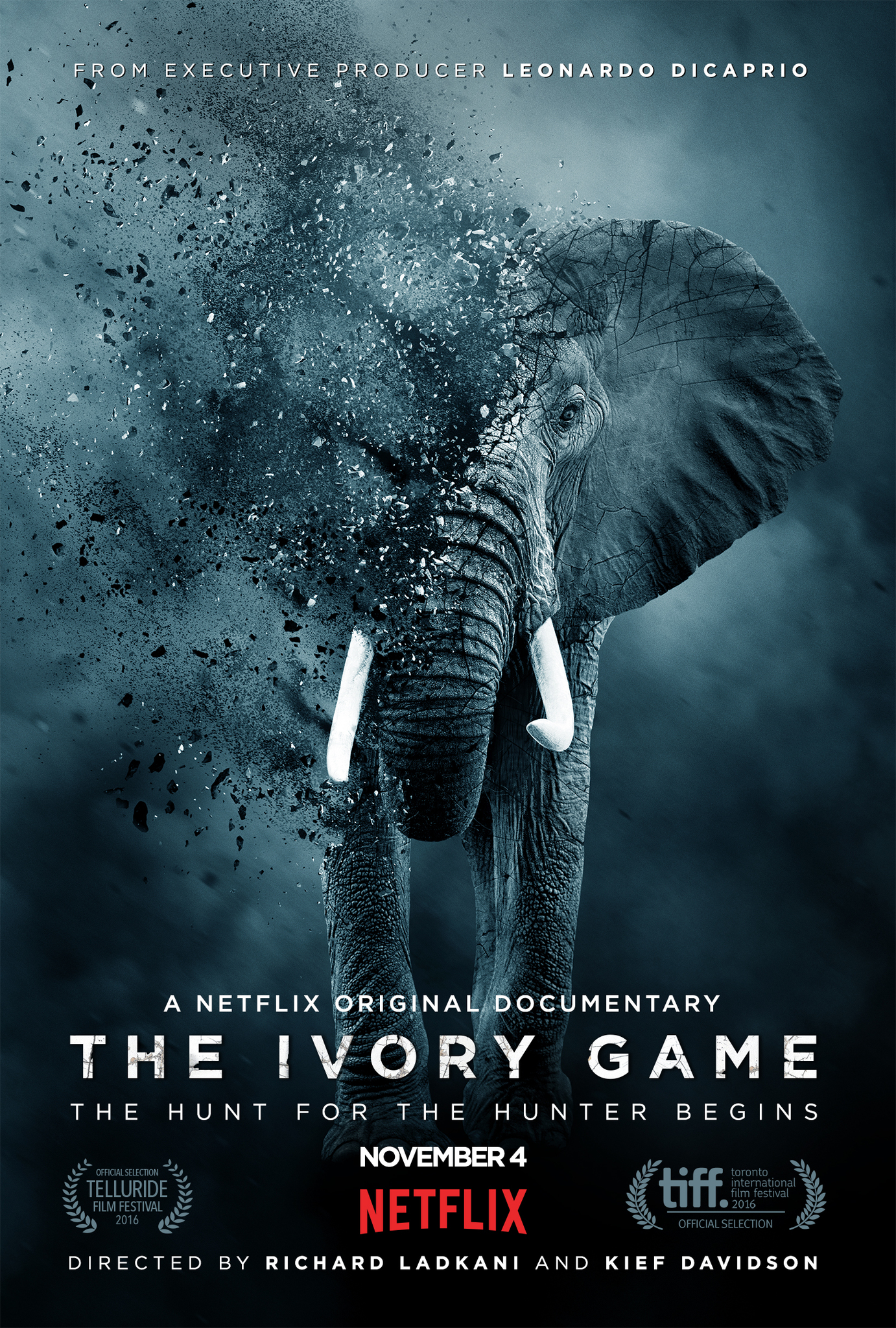 Photo de The Ivory Game