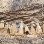 Chachapoyas sarcophages du tigre