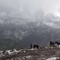 Montagnes et chevaux dans la région de Cuzco