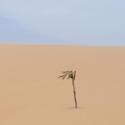 Etre climatosceptique est dangereux et irresponsable