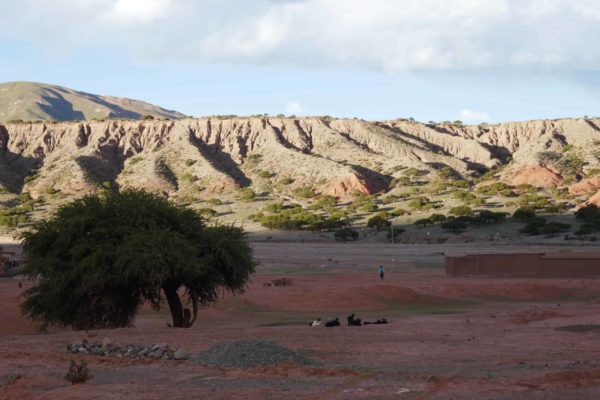 Florida, Sur Lipez, Bolivie