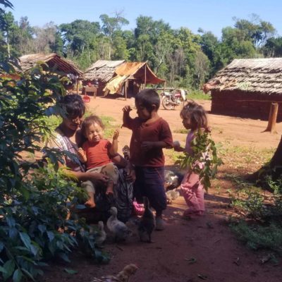 Les Guaranis, ou l’impossible survie dans la forêt paraguayenne