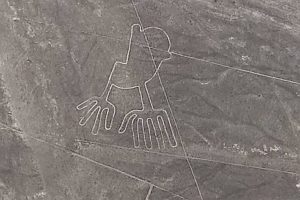 Nasca le géoglyphe de la grenouille