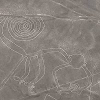 Nasca le géoglyphe du singe