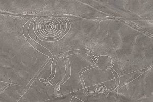 Nasca le géoglyphe du singe