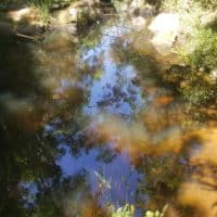 Reflet dans le ruisseau