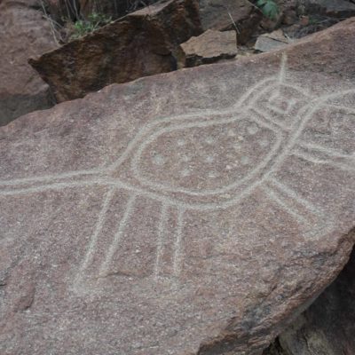 Le monde des pétroglyphes de Checta