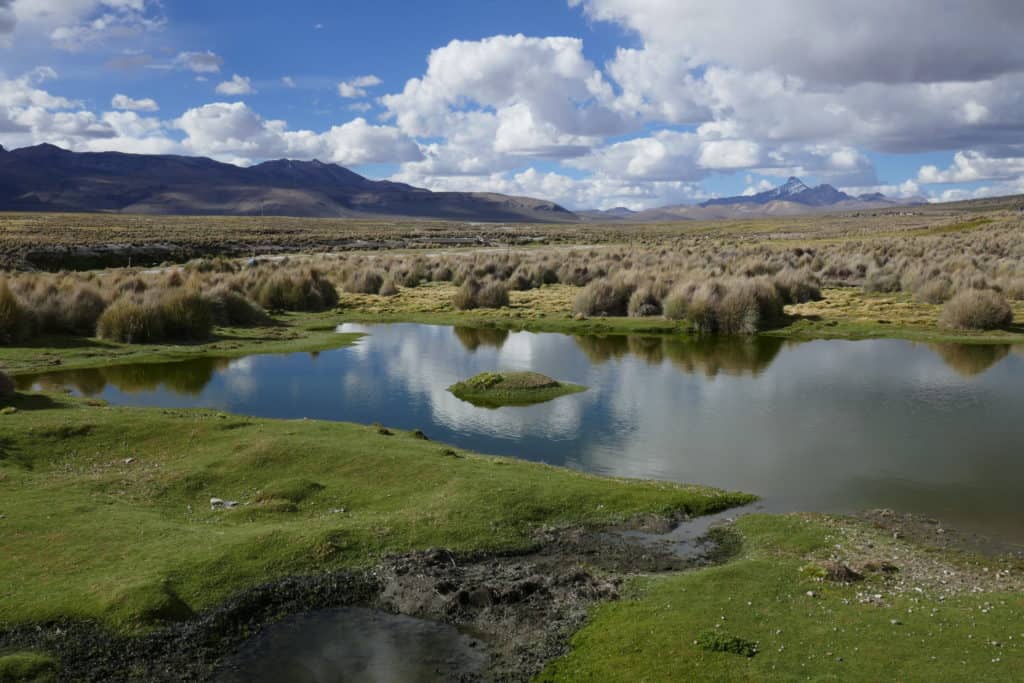 paysage de l'altiplano au Sajama, Bolivie