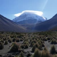 Sajama, the mountain with a thousand curiosities and which looks out over Bolivia