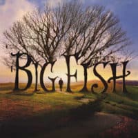 Affiche du film Big Fish