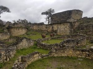 Lire la suite à propos de l’article Visiter les beautés de Chachapoyas, Amazonas, Pérou