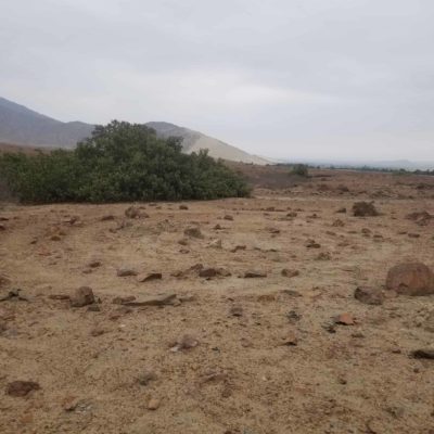 L’histoire de la destruction des géoglyphes de Santo Domingo au Pérou