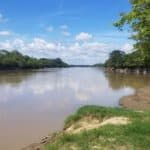 Le fleuve du guaviare en colombie