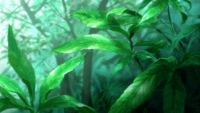 mushishi plantes