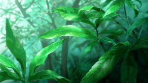 Lire la suite à propos de l’article Mushishi