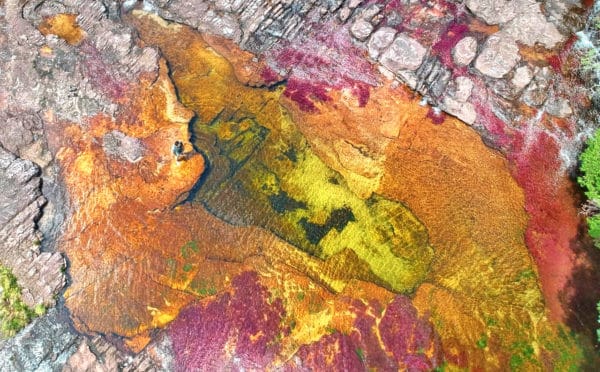 rio colores – San José