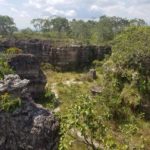 Serrania la Lindosa Guaviare Colombia