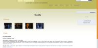 wp plugin nextgen gallery search