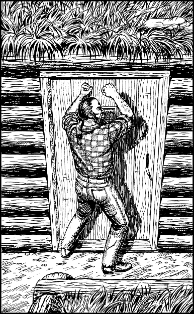 illustration