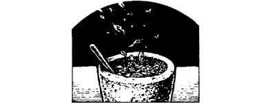 [illustration]