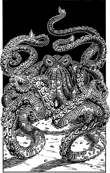 illustration