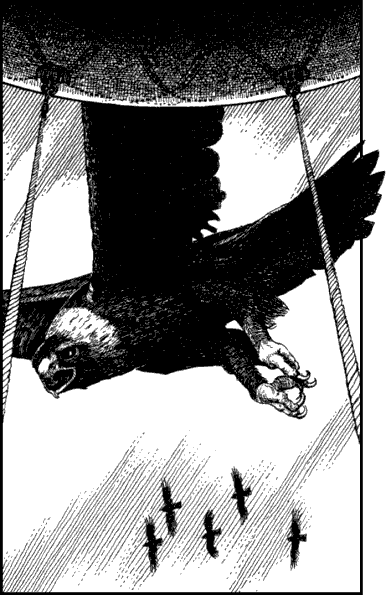 illustration