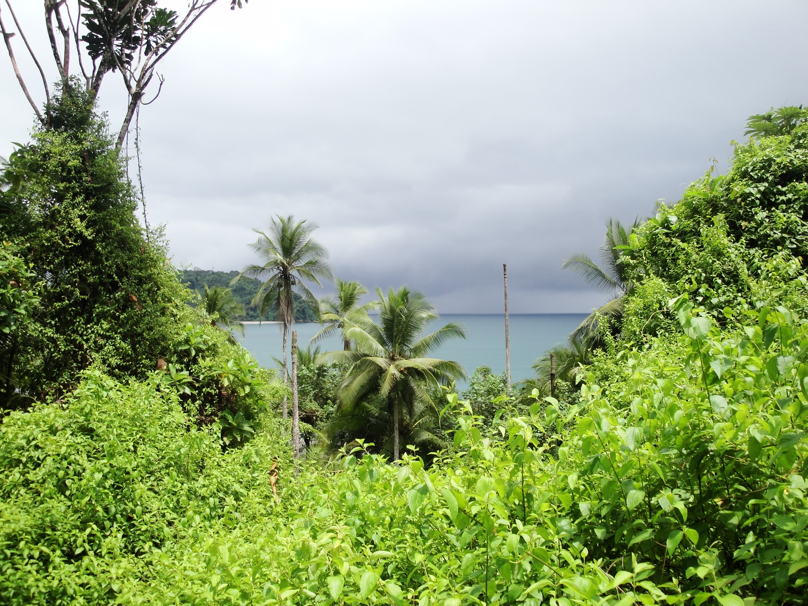 Gorgona, Colombia