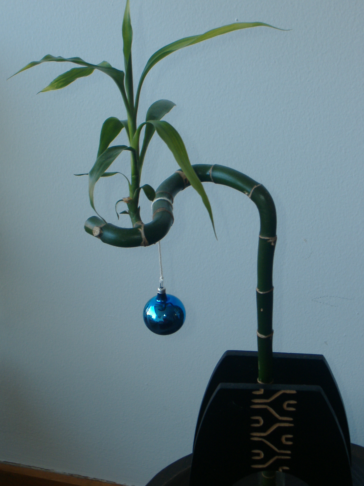 Notre arbre de Noà«l