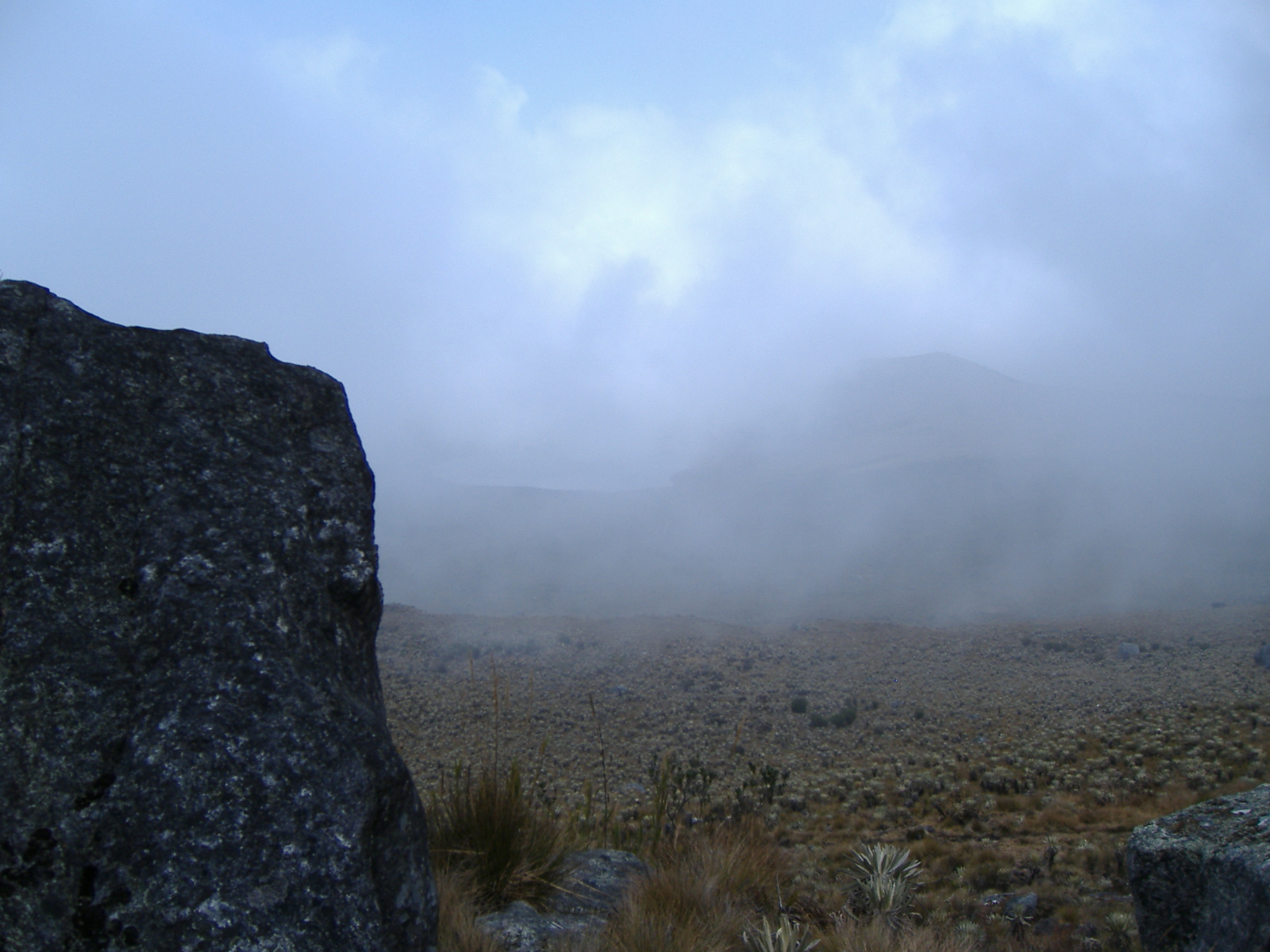 dscf1931.JPG