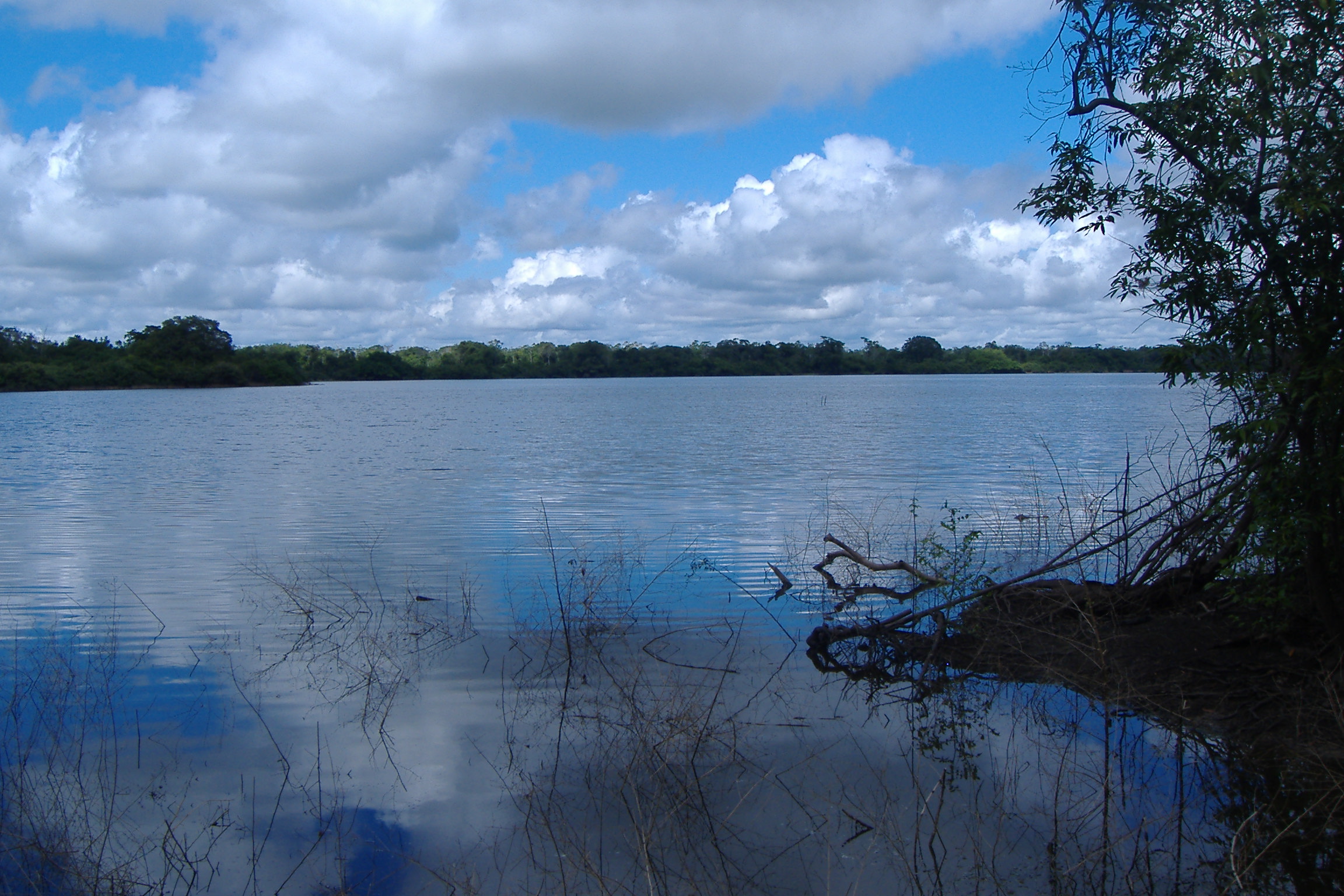 amazonie