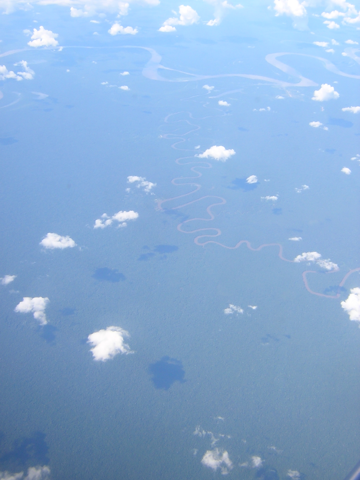 amazonie