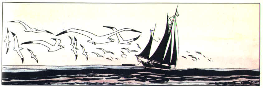bocca-1.jpg