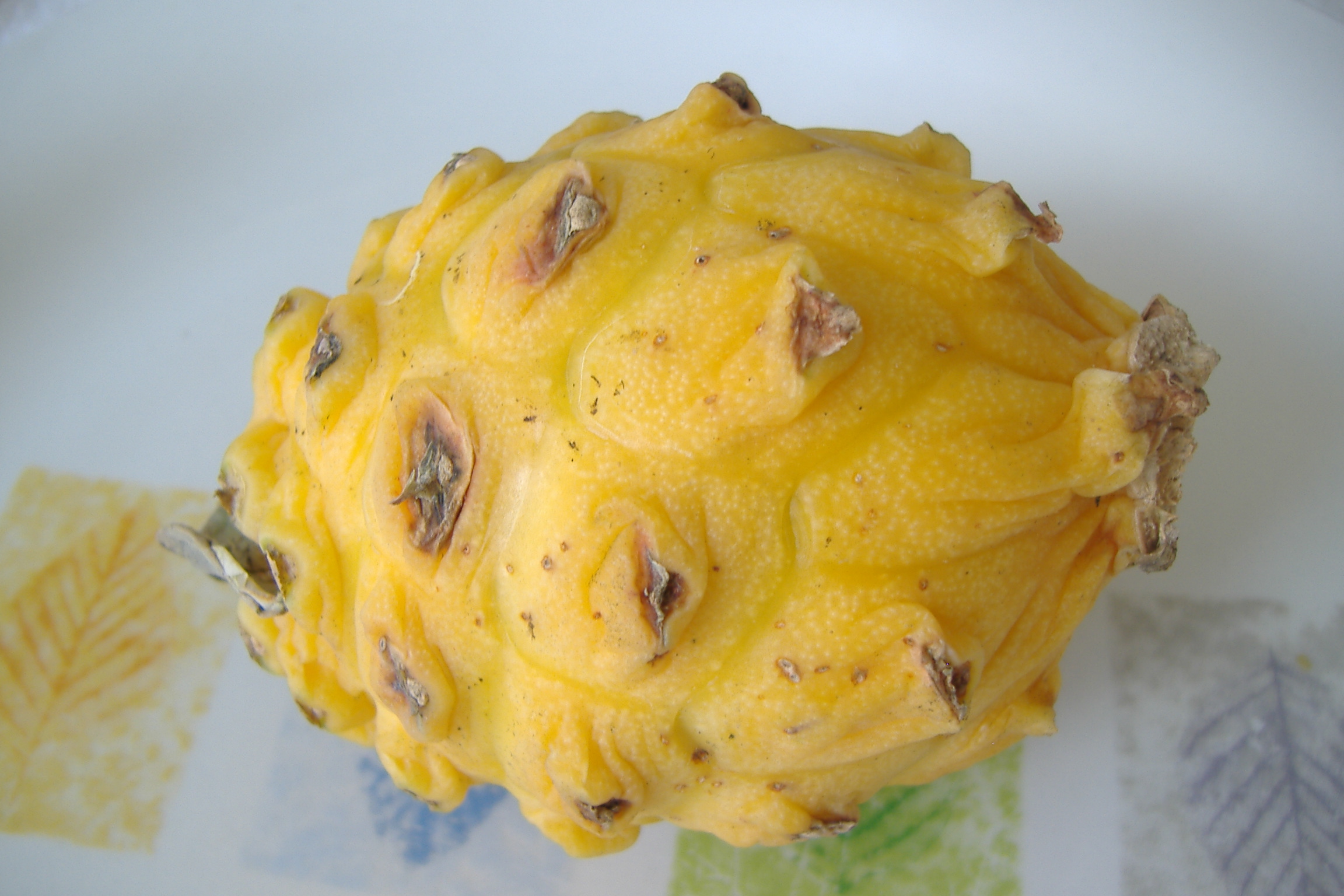 Pitahaya