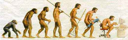 evolution.jpg