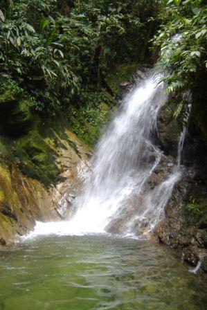 cascade.JPG