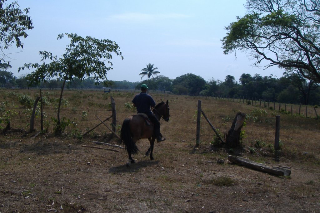 los-llanos.JPG